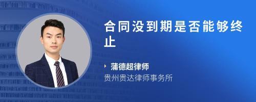 軟件開發(fā),到期未交付,合同能否終止